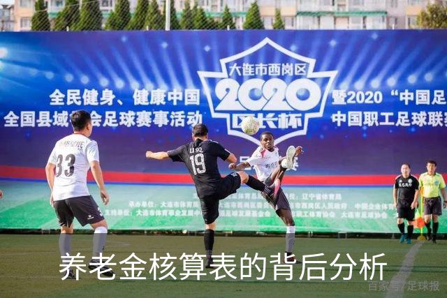 养老金核算表的背后分析